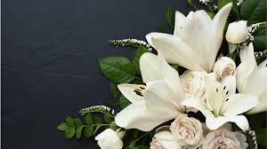 Wilson E Vargas Lynn Massachusetts Obituary - In Loving Memory